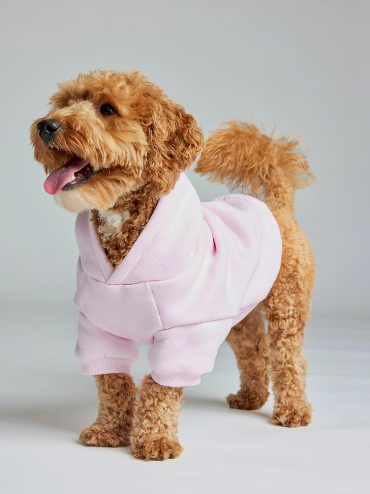 Powder Pink / Theo