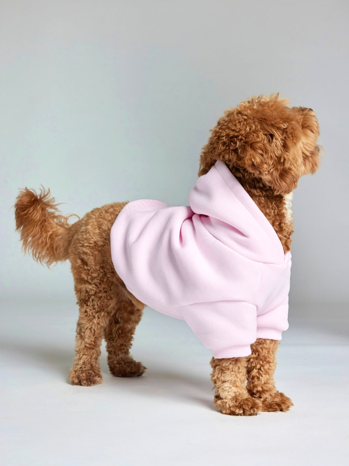 Powder Pink / Theo