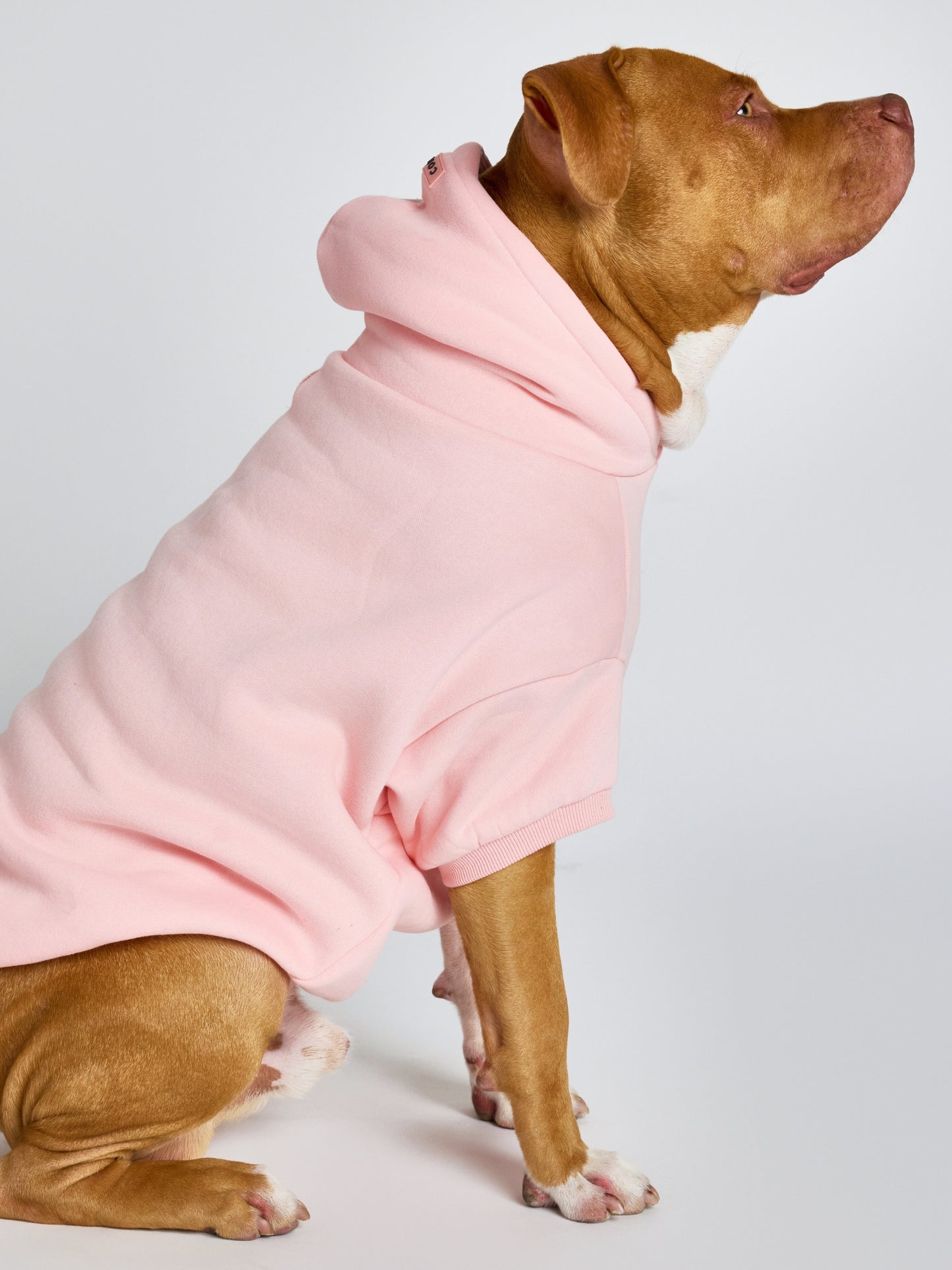 Bubblegum / Kash