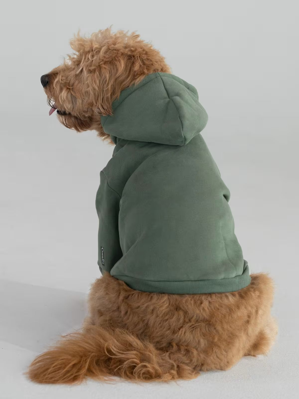 Paws Best-Sellers Bundle