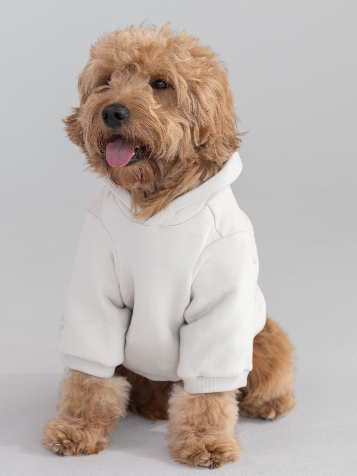 Cotton / Pet