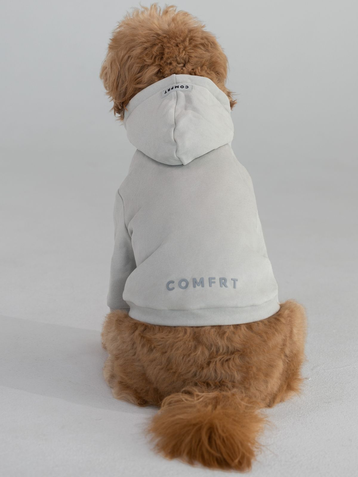 Cement / Pet