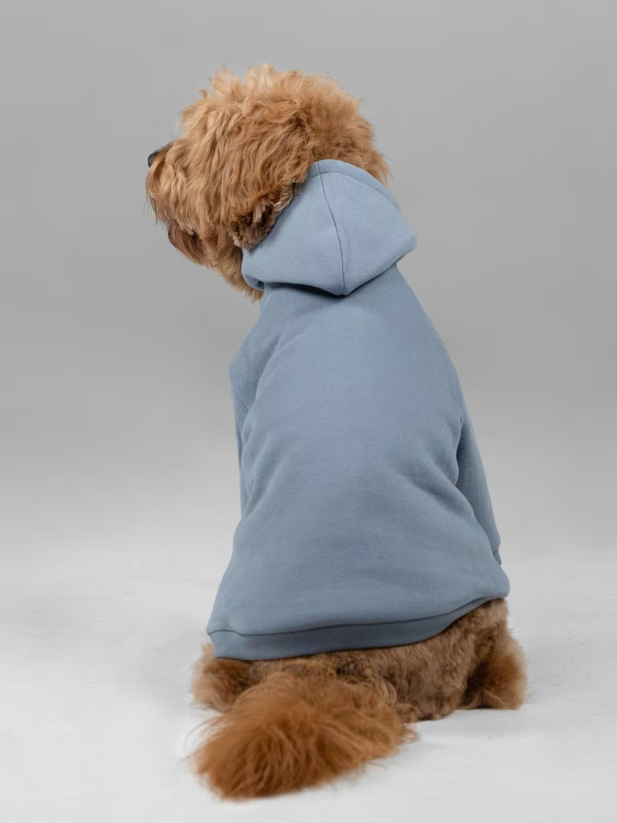 Paws Cozy Everyday Bundle