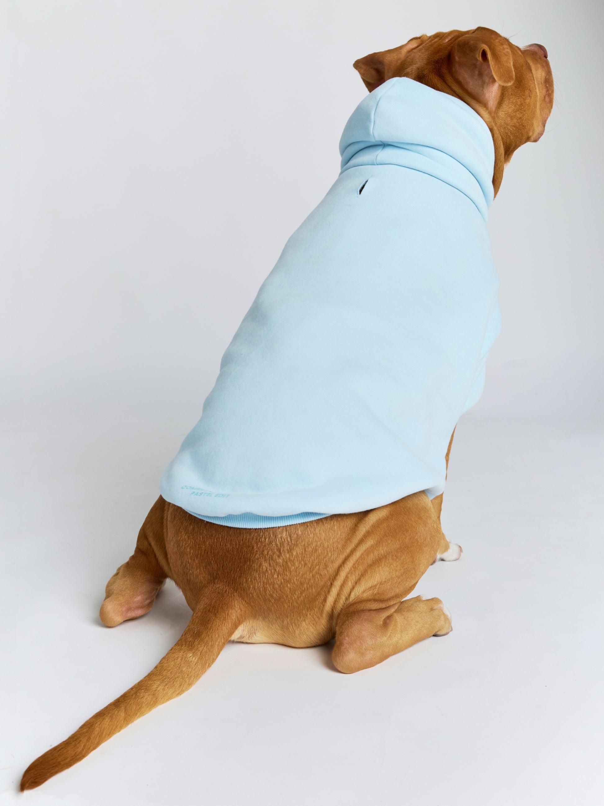 Baby Blue / Kash