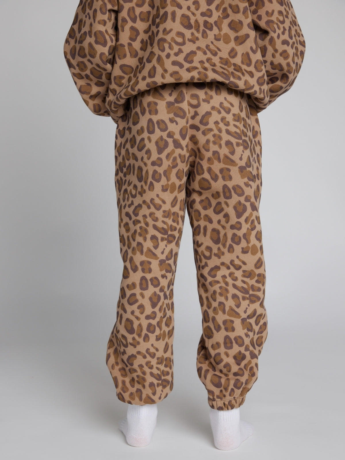 Brown Leopard / Logan