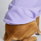Lavender / Kash