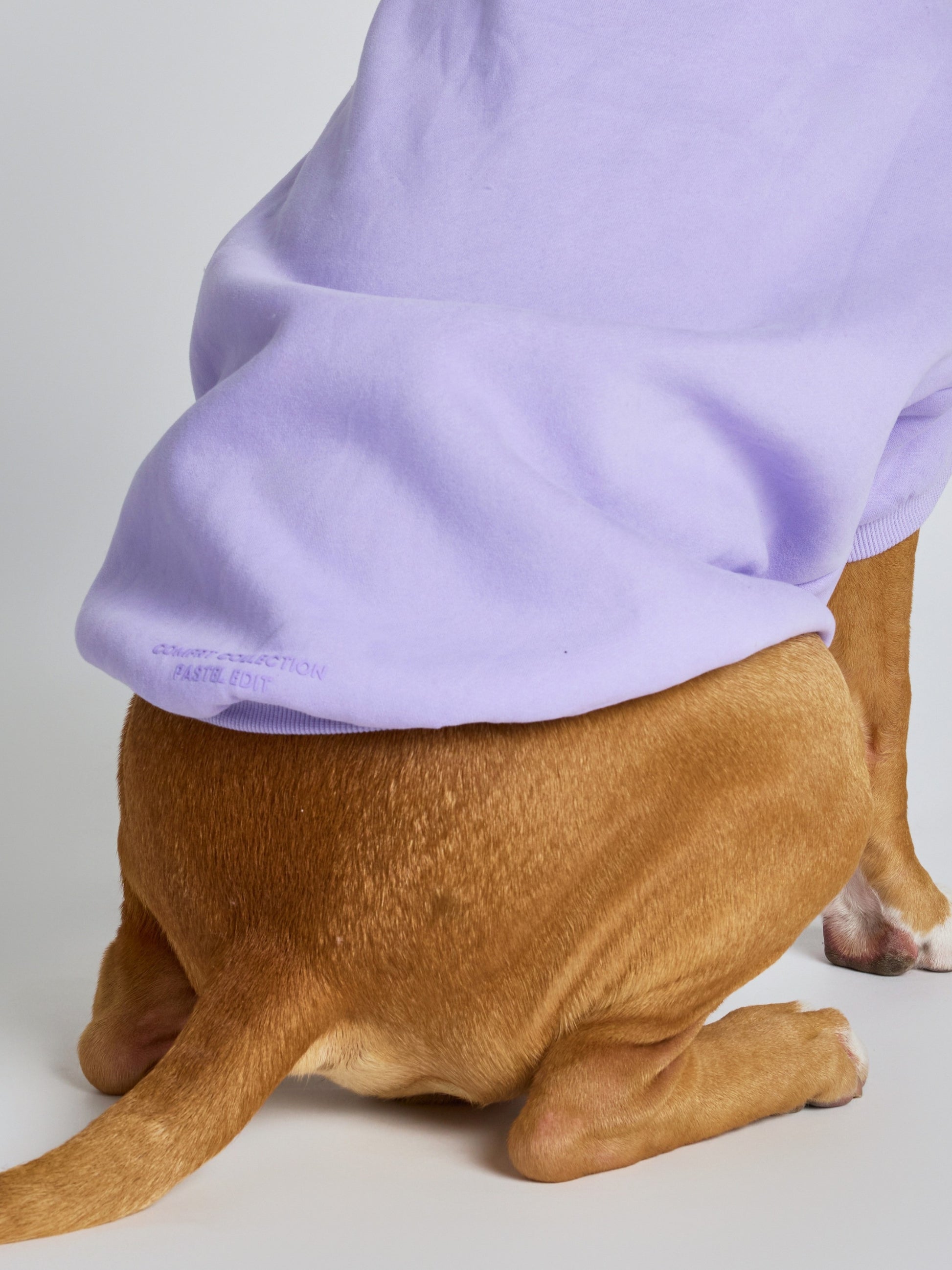 Lavender / Kash