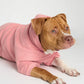Coral Blush / Kash