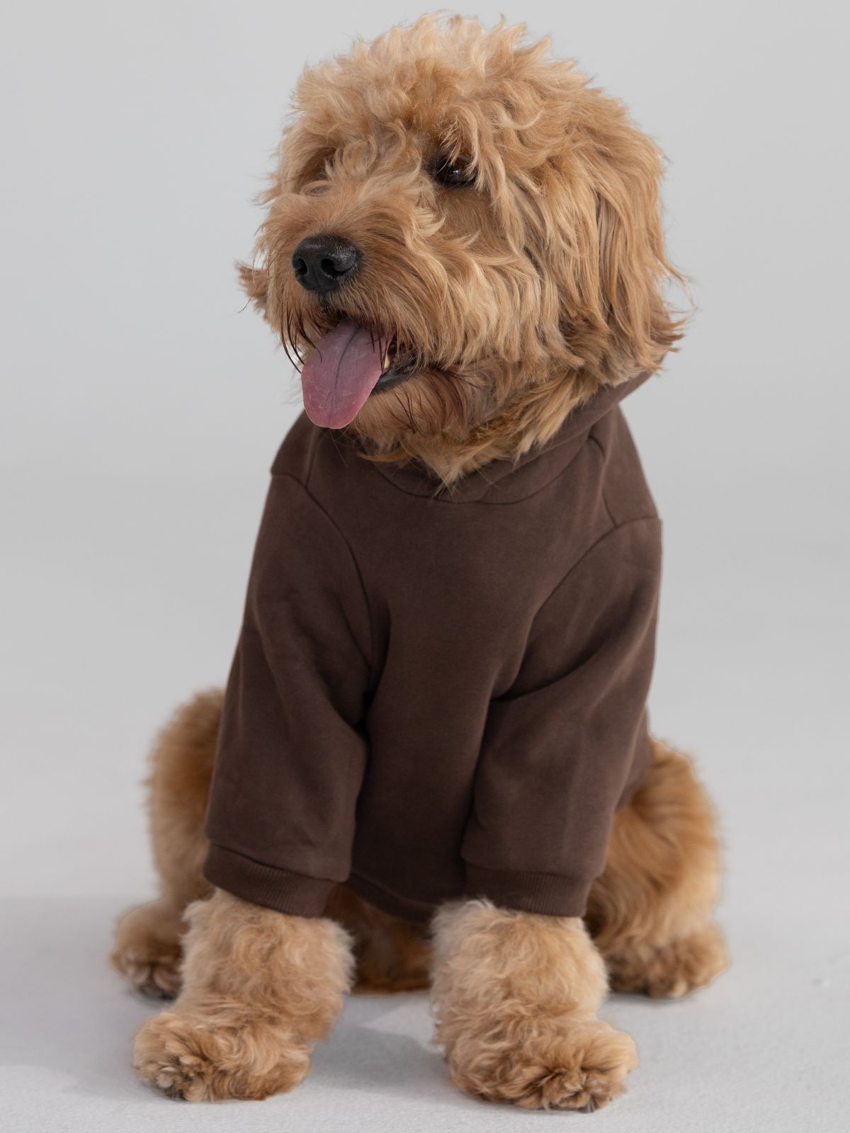 Walnut / Pet