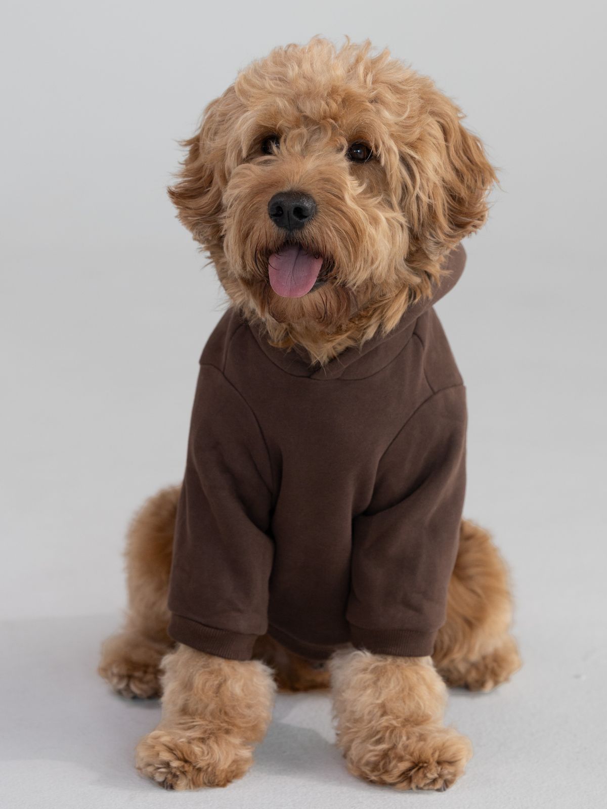 Walnut / Pet