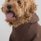 Walnut / Pet