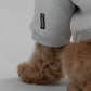 Fog / Pet