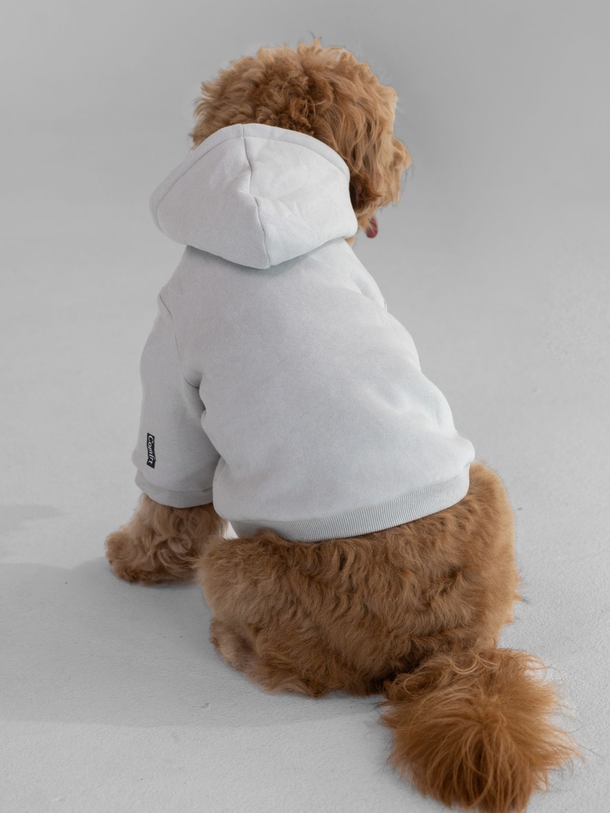 Fog / Pet