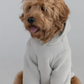 Paws Best-Sellers Bundle