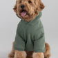 Paws Best-Sellers Bundle