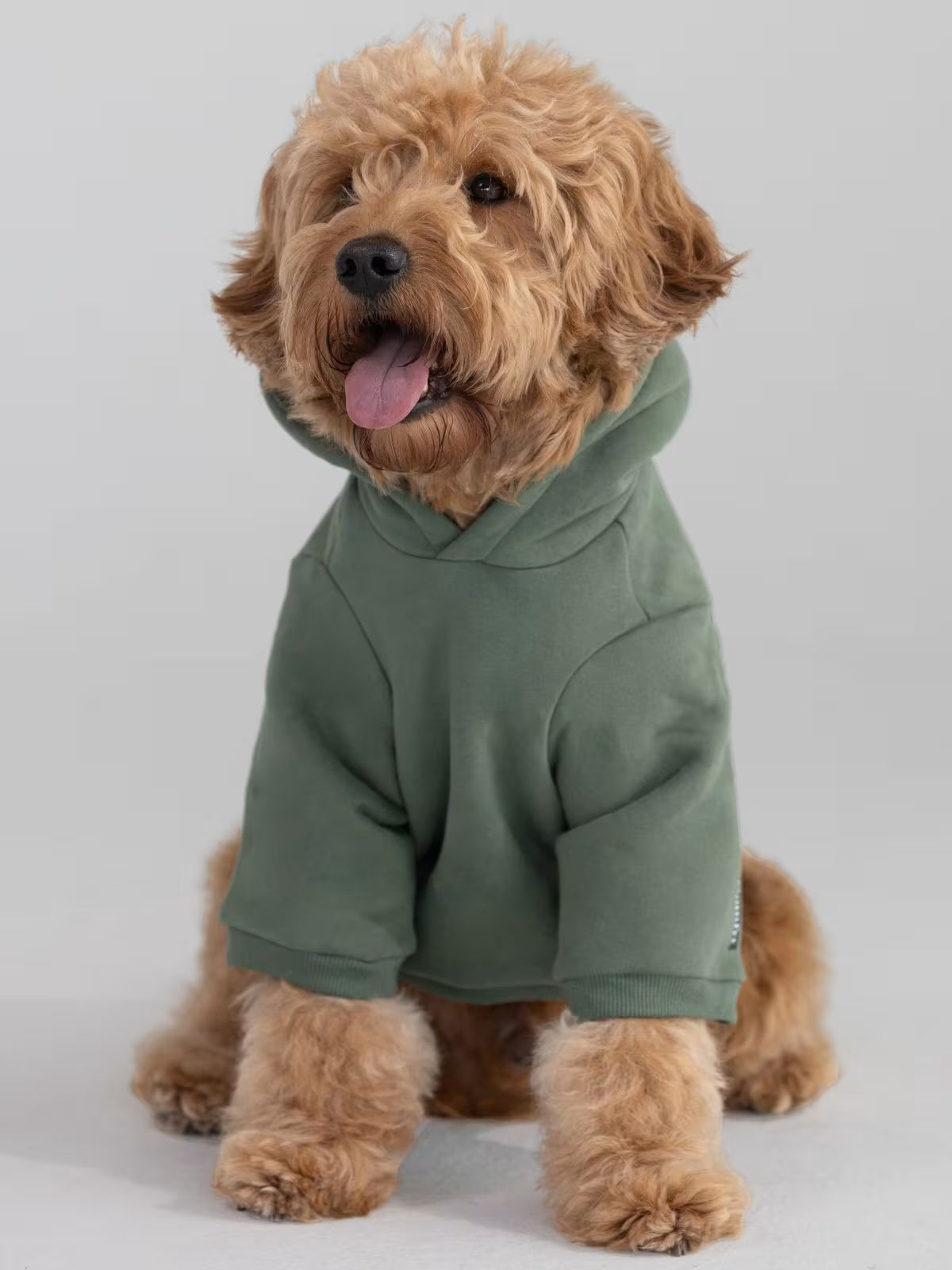 Paws Best-Sellers Bundle