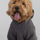 Paws Cozy Everyday Bundle
